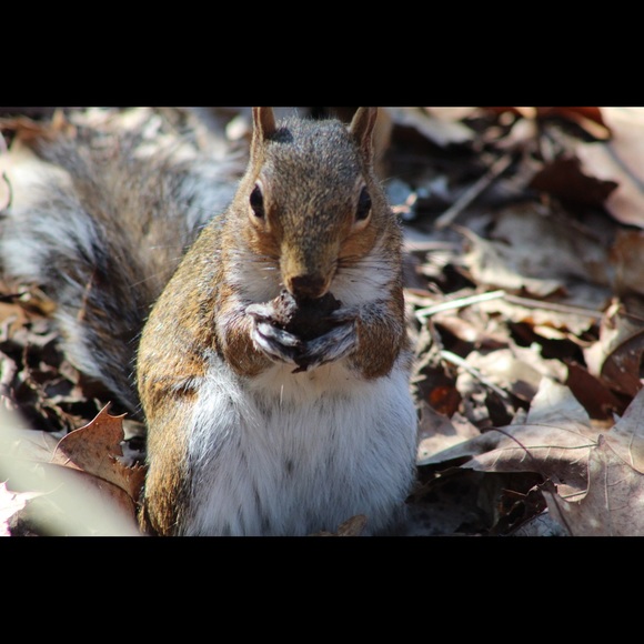 🛑STOP THE SCAMS!  PLEASE READ!!!🛑 - Picture 12 of 12